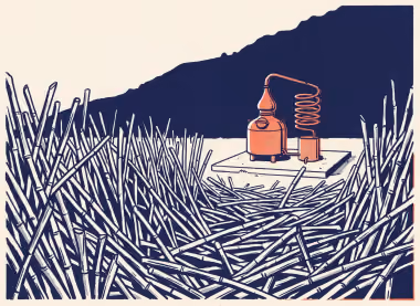 Illustration: cut sugarcane stalks in the foreground, a small copper still behind them.